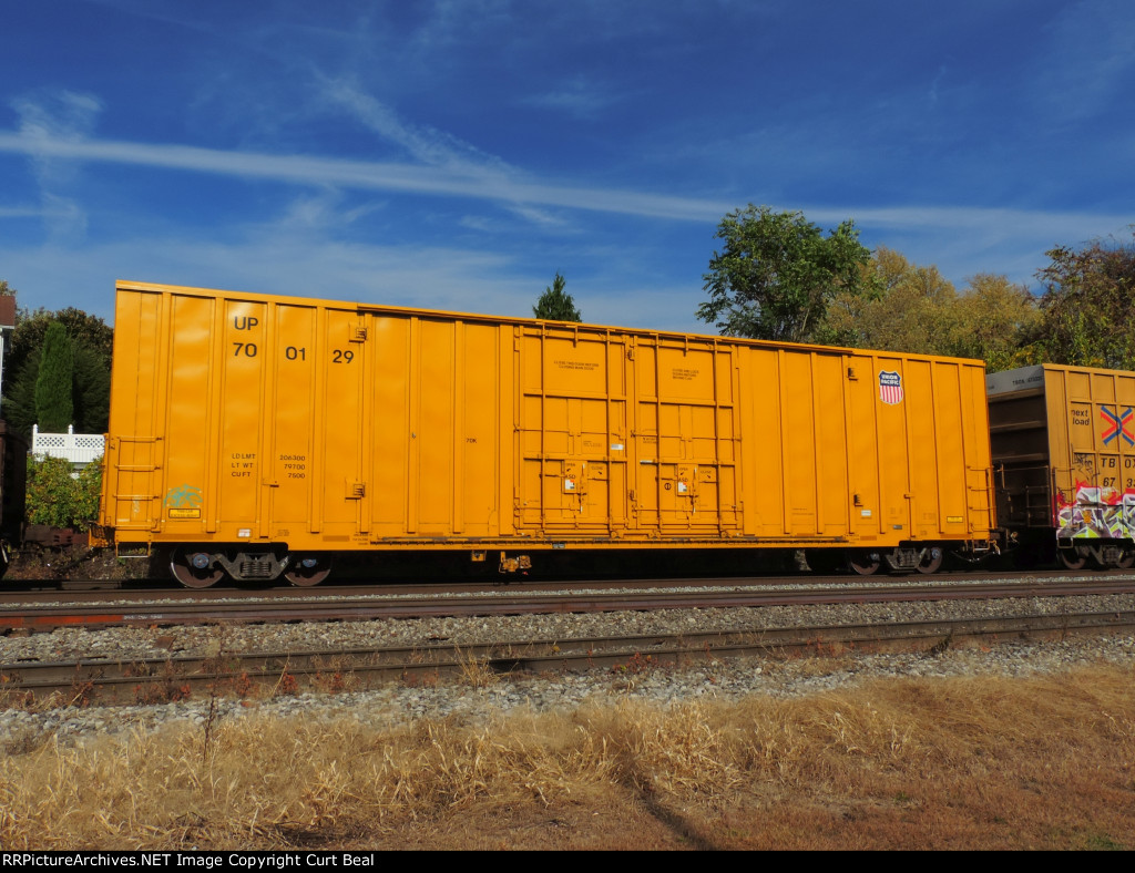 UP 700129 (1)